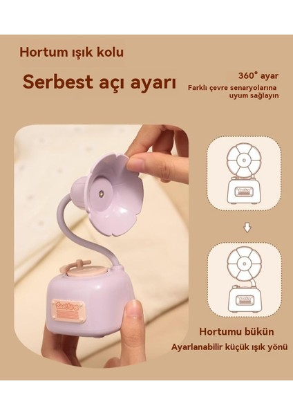 Yaratıcı Retro Gramofon Masa Lambası Süsleri Sonsuz Kısılabilir Gece Lambası (Yurt Dışından)