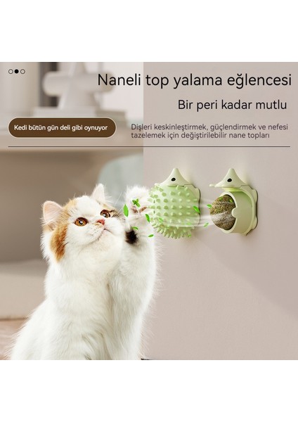 Kedi Oyuncağı Kirpi Gıdıklayıcı Diş Çıkarma Yalama Kedi Nanesi Top Oyuncak (Yurt Dışından)