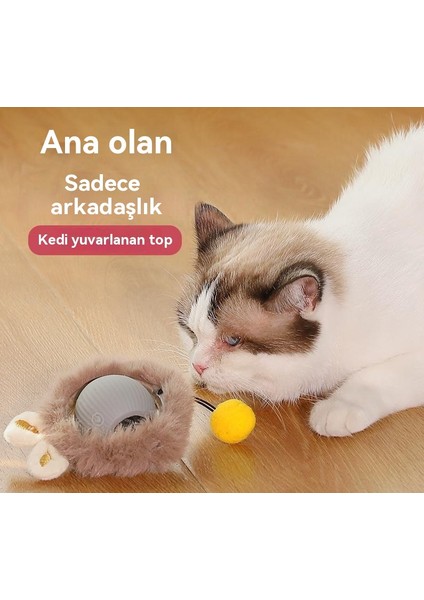 Kedi Oyuncak Topu Merhaba Topu Evcil Hayvan Sıkıcı Peluş Komik Kedi Topu (Yurt Dışından)