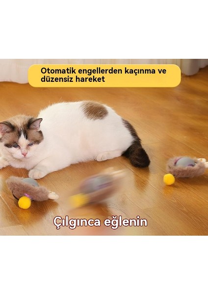 Kedi Oyuncak Topu Merhaba Topu Evcil Hayvan Sıkıcı Peluş Komik Kedi Topu (Yurt Dışından)