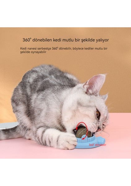 Kedi Nipleri Toplarıkedi Oyuncaklarıevcil Hayvan Malzemelericatnip (Yurt Dışından)