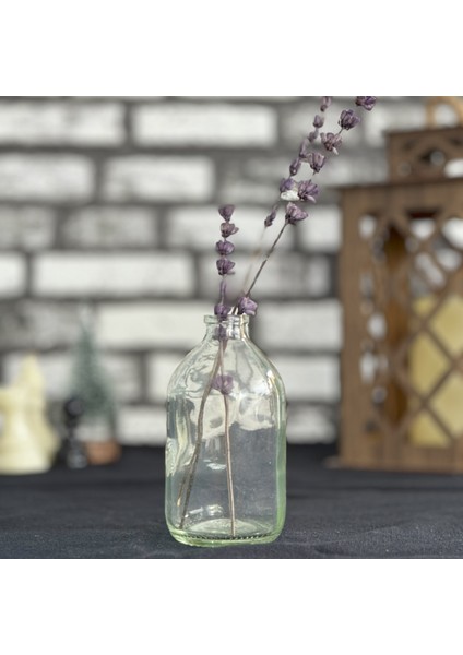 100 ml Şeffaf Cam Şişe Vazo