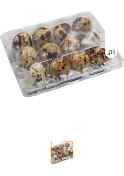 Bıldırcın Yumurta Viyol 50 Adet 12Lİ Şeffaf Plastik Viyol