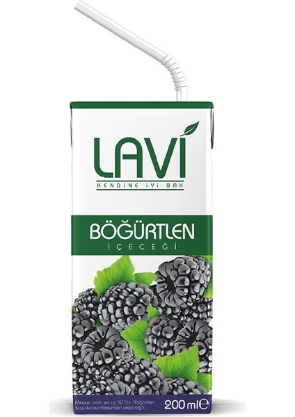 Böğürtlen Meyveli Içecek 200 ml x 27 Adet (Bir Koli)