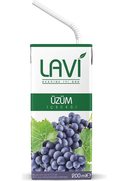 Üzüm Meyveli Içecek 200 ml x 27 Adet (Birkoli)