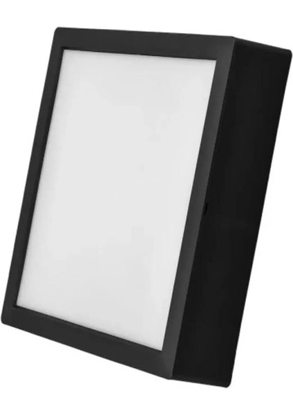 18 W Led Panel - Beyaz Işık (6500K) - Siyah Kasa - Kare - Sıva Üstü - Ct-5236/B