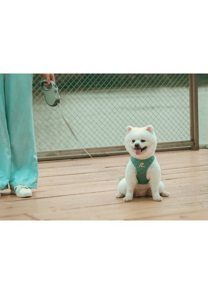 Otomatik Yeşil Tasma Kayışı fırsatları