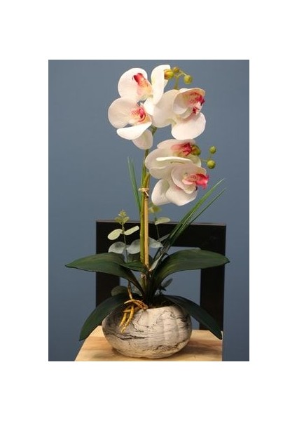 Dekoratif 2li Mini Yapay Islak Orkide Tanzimi Beyaz-Fuşya 45 Cm
