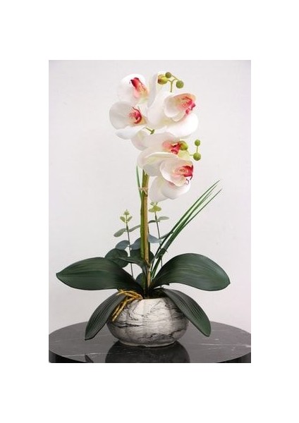 Dekoratif 2li Mini Yapay Islak Orkide Tanzimi Beyaz-Fuşya 45 Cm fiyatları