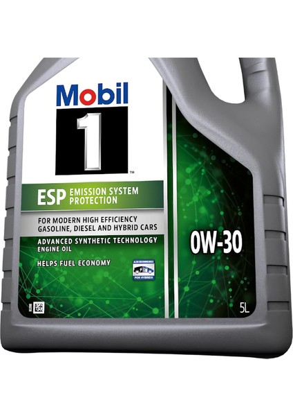 1 Esp 0W30 Motor Yağı 5 L Üt:2024