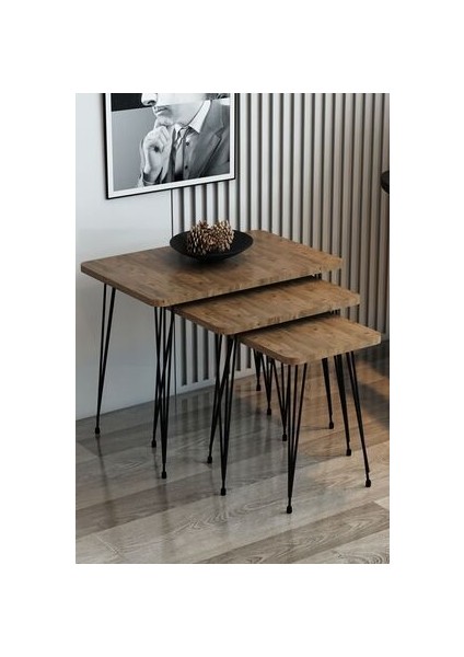 3'lü Zigon Sehpa Dikdörtgen Model Zigon Sehpa Metal Tel Ayak