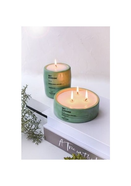 Yeşil Beton Saksıda 2'li Lavanta Kokulu Soya Mum Seti – Dekoratif Ev Aksesuarı ve Hediye Fikri fiyatları