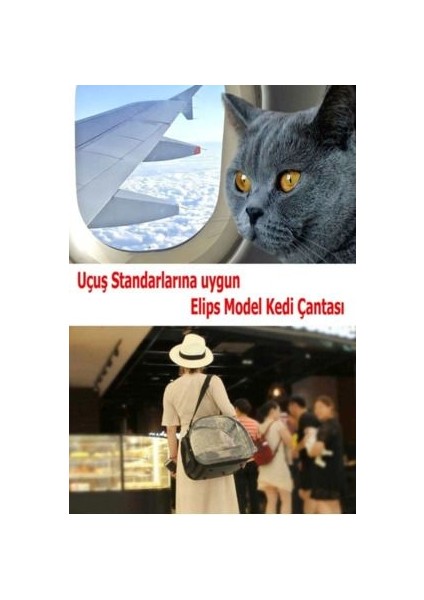 Ksburdapati Desen Kedi Köpek Sırt Kol ve Omuzda Taşınabilir Evcil Hayvan Taşıma Çantahaki modelleri