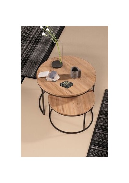 HBCV 2'li Orta Sehpa Seti – Suntalam Antik Çam Üst, Siyah Metal Ayaklı, Klasik-Modern Tasarım, 70x51 ve 60x43 cm fiyatları