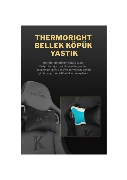 Knight Series Premium Siyah Oyuncu Koltuğu Ergopixel