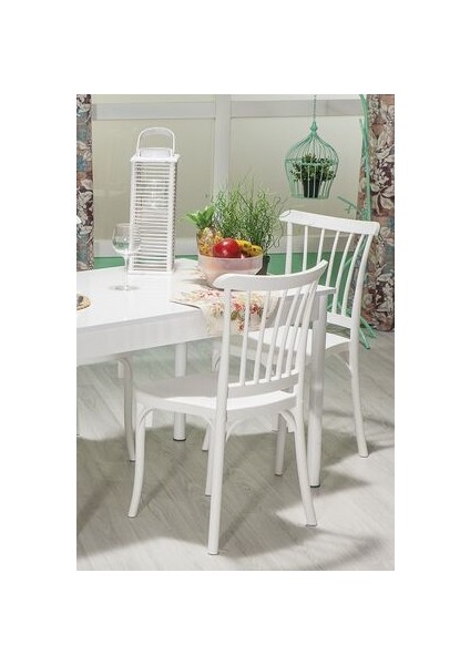 4 Adet Violet Beyaz Sandalye / Balkon-Bahçe-Mutfak