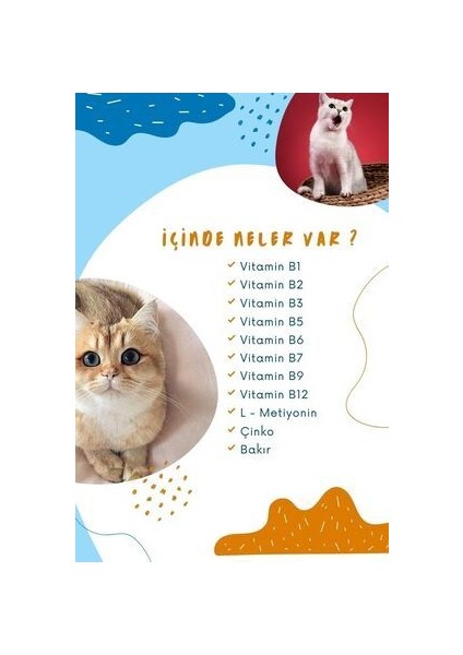 Kedi Tüy Sağlığı Damlası Plus +B Kediler Için Tüy ve Tırnak Sağlığını Destekleyen Multivitamin 50ML Tüy Dökülmesini Engelleme