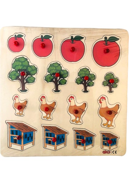 Büyükten Küçüğe Sıralama 33X33 cm