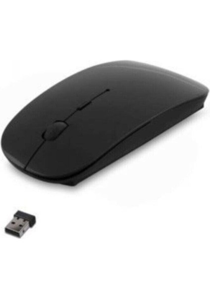 Byars-Siyah Optik Nano Receive Kablosuz Mouse Byarsbilişim