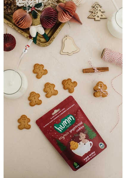 Nessiworld Humm Organik Zencefilli ve Tarçınlı Vegan Kurabiye 55 Gr modelleri