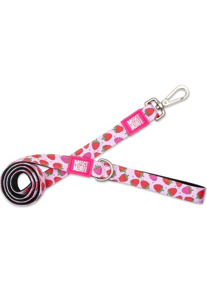 Strawberry Dream Köpek Gezdirme Kayışı Medium