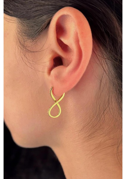 14 Ayar Altın Taşlı Sonsuzluk Küpe 2 fiyatları