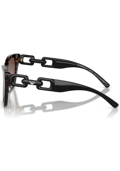 Emporıo Armanı 4203U 502613 modelleri