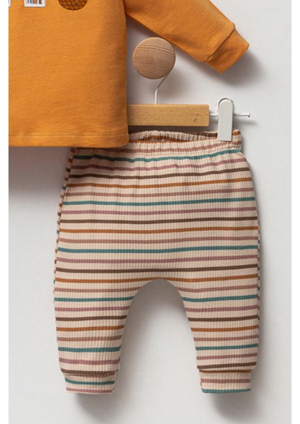 Animal Desenli Beli Lastikli Çizgili Alt-Üst 2'li Erkek Bebek Takım modelleri