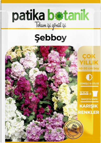 Patika Botanik 100 Adet Şebboy (Mathiola Incana) Çiçek Tohumu