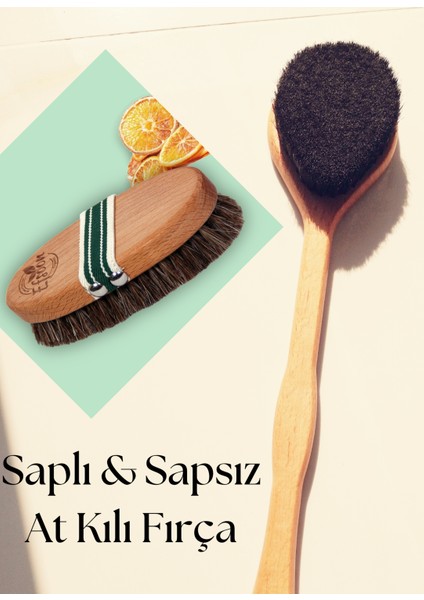 At Kılı Fırça Seti - Saplı Fırça Ve Sapsız Fırça