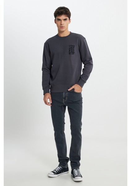 Regular Fit Normal Kesim Bisiklet Yaka İçi Polarlı Antrasit Sweatshirt