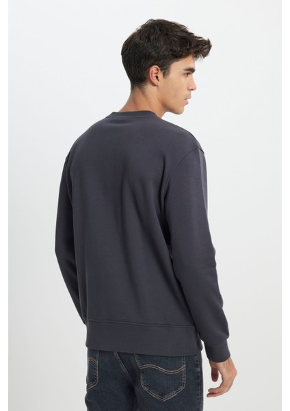 Regular Fit Normal Kesim Bisiklet Yaka İçi Polarlı Antrasit Sweatshirt