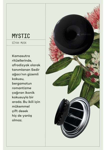 Araba Klima Kokusu, Spin Oto Kokusu, Profesyonel Otomobil Kokusu - Mystic & Angelic Set