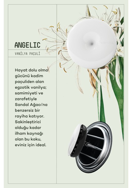 Araba Klima Kokusu, Spin Oto Kokusu, Profesyonel Otomobil Kokusu - Mystic & Angelic Set