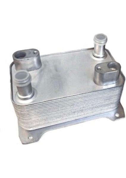 Sanzuman Yag Sogutucu 8m0 376 701-504 Vw Passat Bpy-Bwa-Cbfa-Ccta-Ccza 2,0 Fsı 05-10 (Oem No: 4E0317021H)