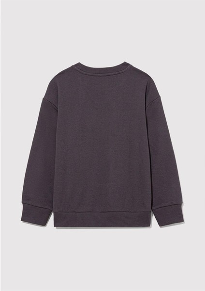 M6S10091-70087 Erkek Çocuk Sonıc Baskılı Sweatshirt fiyatları