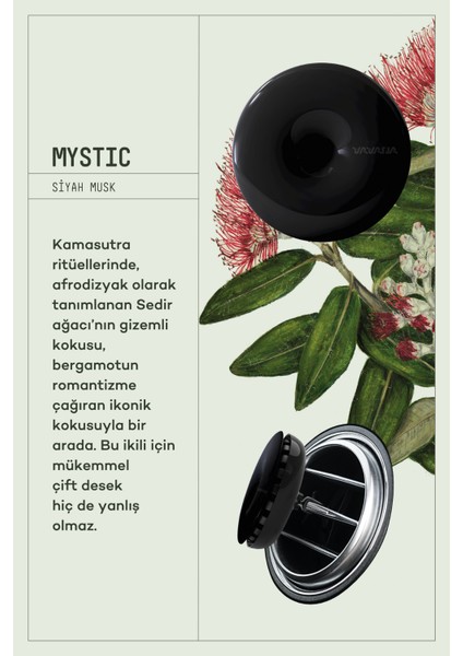 Araba Klima Kokusu, Spin Oto Kokusu 6'lı Set, Musk Aromalı, 90 Gün Etkili Araç Kokusu - Mystic fiyatları