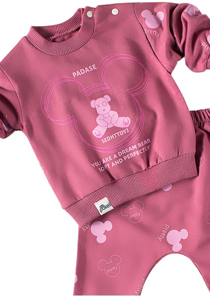 1081 6-18 Ay Pretty Baskılı 2'li Takım fiyatları