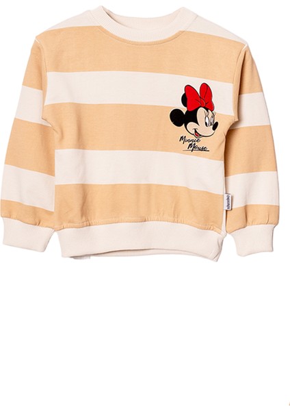 24415 2-5 Yaş Kız Minnie Mouse Baskılı Çizgili 2li Takım fiyatları
