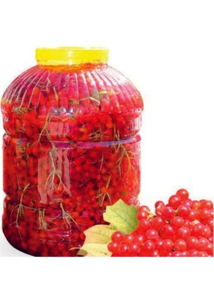 Girabolu Meyvesi 10 lt Gırabolu 5 kg