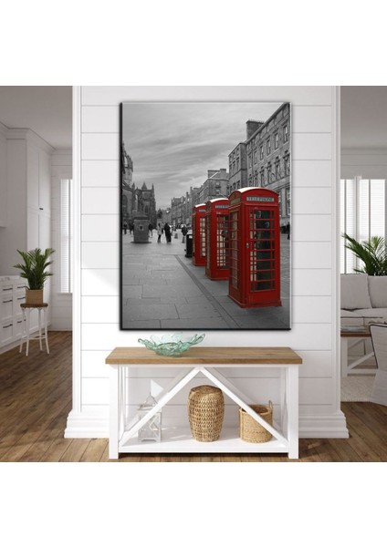 Dekoratif Baskı Telefon Kılıfları Kanvas Tablo