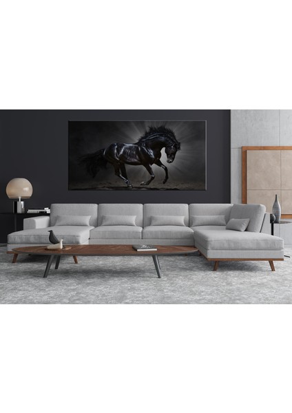 Dekoratif Siyah At Kanvas Tablo