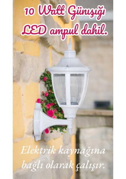 10 Watt Günışığı Ampullü Dekoratif Bahçe Duvar Aydınlatma Armatürü, Bahçe, Teras, Balkon Apliği