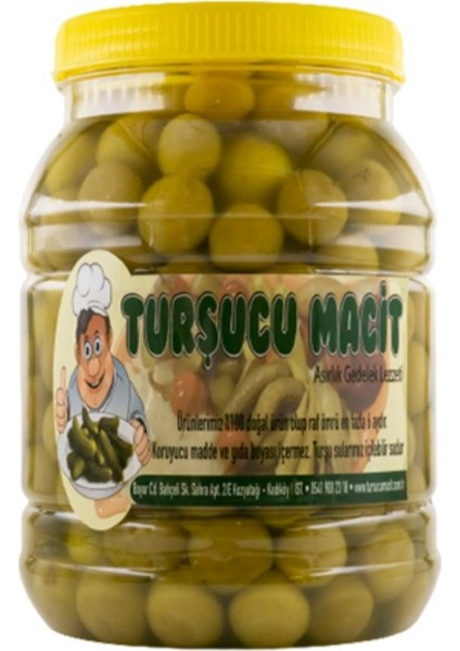 Erik Turşusu Acı Turşu Sulu 1 kg