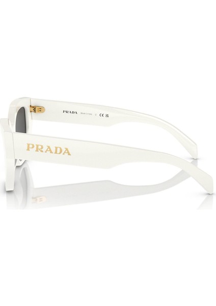 A09S 1425S0 53 Güneş Gözlüğü modelleri