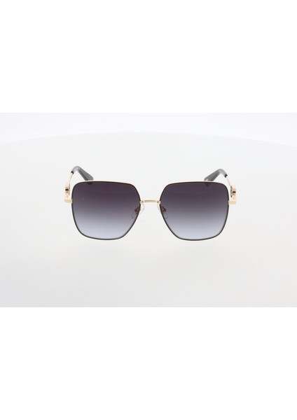 3596 C01 Güneş Gözlüğü modelleri