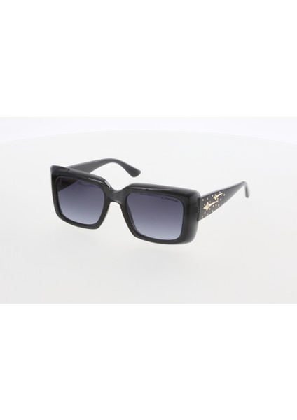 3577 C03 Güneş Gözlüğü fiyatları