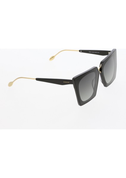 3411 C01 Güneş Gözlüğü indirimleri