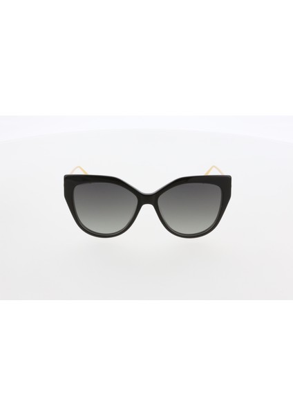 3556 C01 Güneş Gözlüğü modelleri