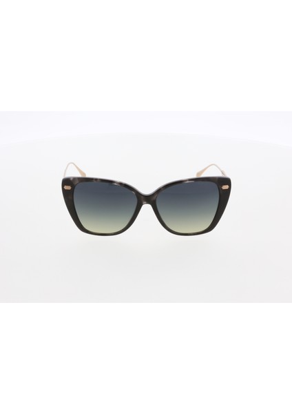 3615 C03 Güneş Gözlüğü modelleri